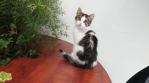 test